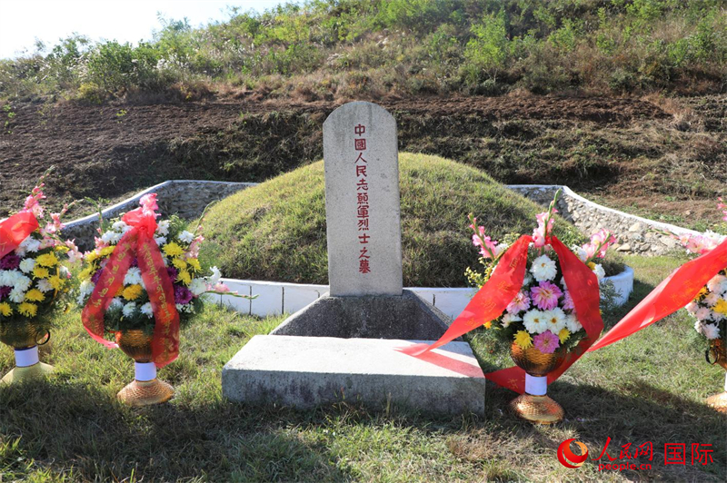 朝鲜志愿军烈士陵园——永恒的敬仰与缅怀,朝鲜志愿军烈士陵园,永恒的敬仰与缅怀之地
