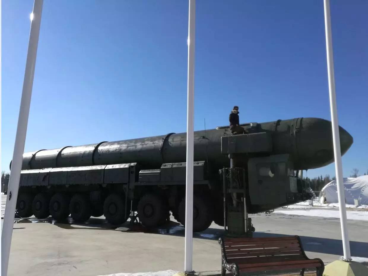 白杨M的长度探究，白杨M长度揭秘