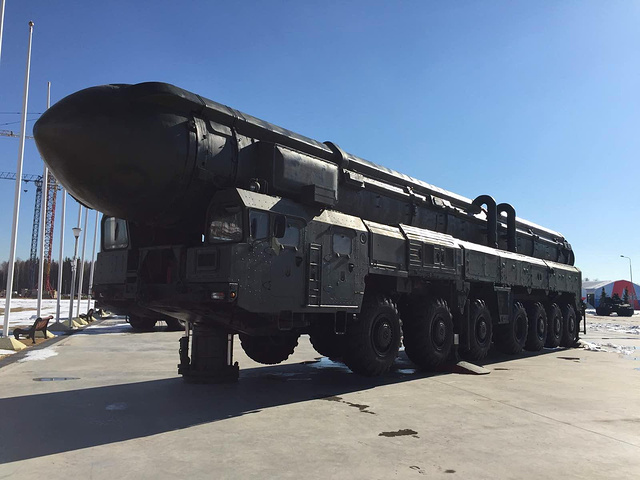 白杨M的长度探究,白杨M长度揭秘