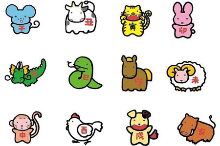 一肖涵盖的生肖及其文化含义,一肖所代表的生肖及其深层文化含义解析