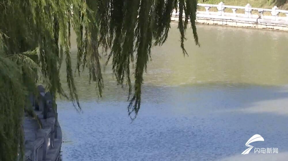 歼-16与法国阵风,谁更胜一筹?,歼-16与法国阵风战机,谁更胜一筹?对比解析