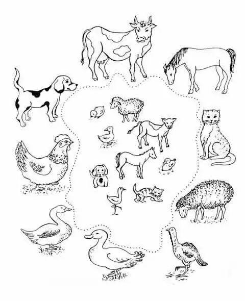 空警2000飞机简笔画，探索航空领域的艺术之旅，空警2000飞机简笔画，航空艺术之旅的探秘