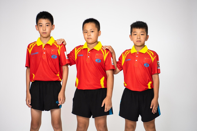 澳门刘伯温四肖选一肖传奇,探索预测之谜,澳门刘伯温四肖选一肖传奇,揭秘预测之谜