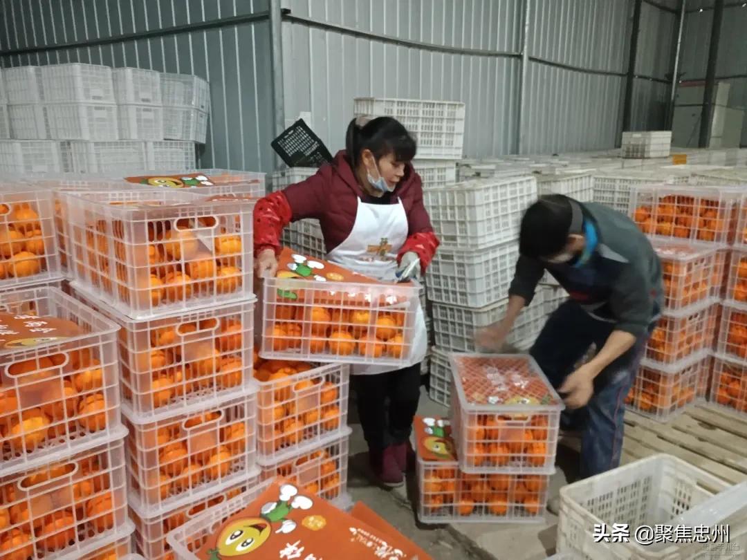 战略支援部队21基地的使命与职责,战略支援部队21基地的使命与职责解析