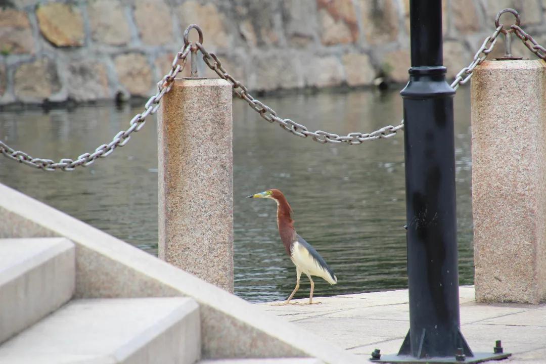 汕头废弃军舰,历史的见证与未来的思考,汕头废弃军舰,历史的见证与未来展望