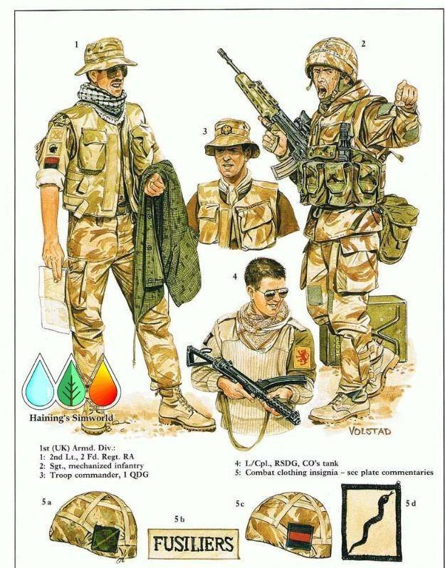 海湾战争与伊拉克单兵装备深度解析,海湾战争与伊拉克单兵装备深度剖析