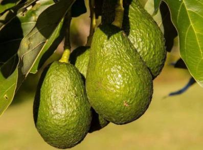 福建台湾局势,历史、现状与未来展望,福建台湾局势,历史沿革、现状解读与未来展望