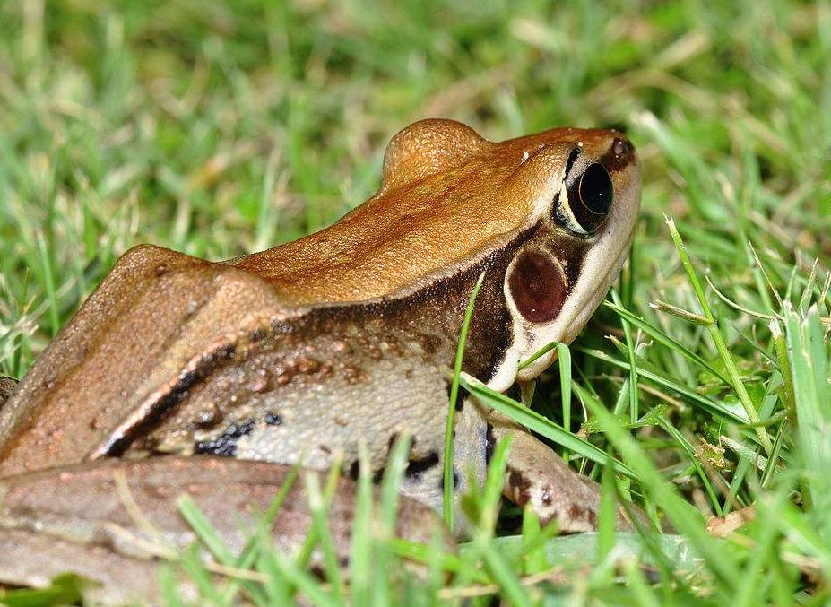 福建台湾局势,历史、现状与未来展望,福建台湾局势,历史沿革、现状解读与未来展望