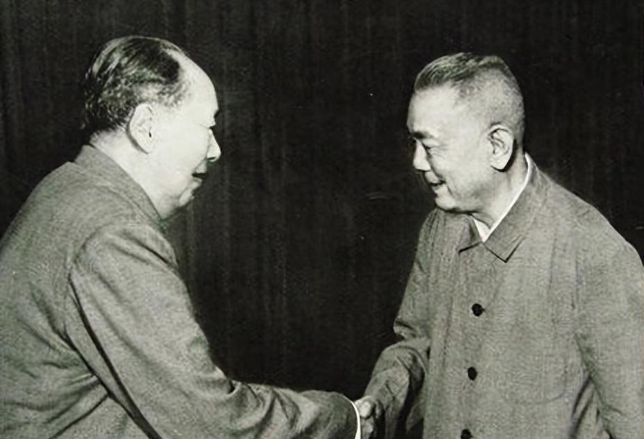 十大元帅打仗最厉害，十大元帅战争策略之巅峰，揭秘他们的战斗风采