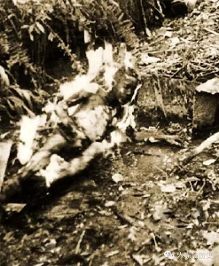 婆罗洲战役,二战时期的重大战役,婆罗洲战役,二战时期的重大交锋