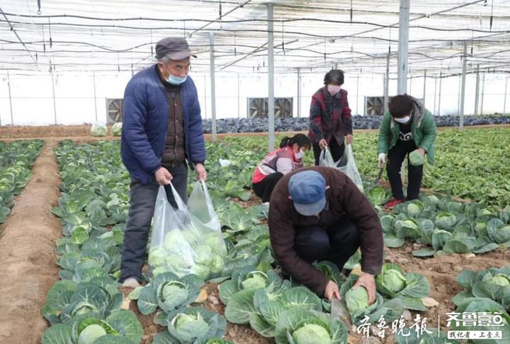战略支援部队五基地,力量之源与未来展望,战略支援部队五基地,力量之源与未来展望展望
