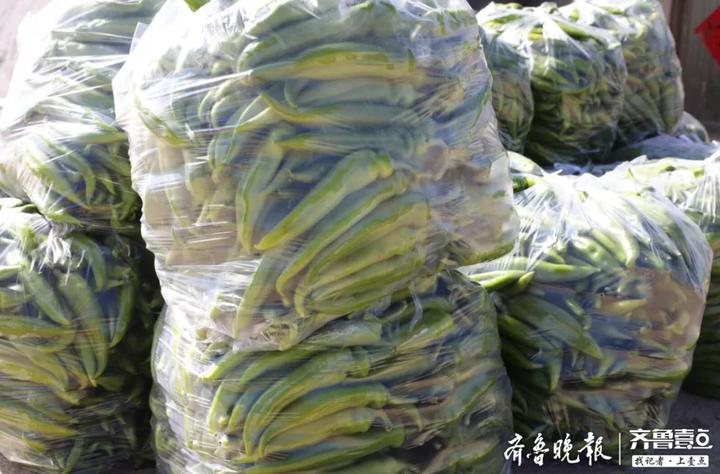 战略支援部队五基地,力量之源与未来展望,战略支援部队五基地,力量之源与未来展望展望