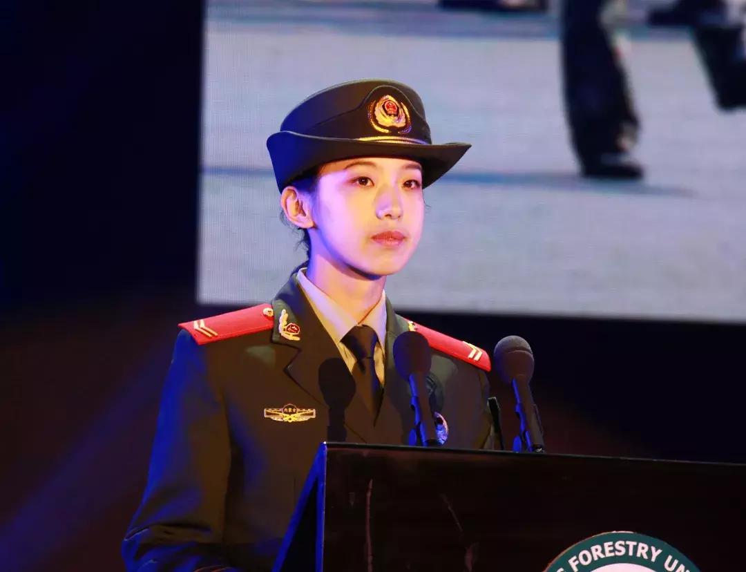 女兵精神,坚韧、勇敢与荣耀的赞歌,女兵精神,坚韧、勇敢与荣耀的颂歌