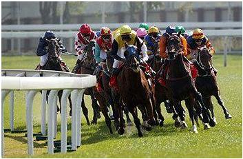 澳门赛马会,最快开奖直播的魅力与激情,澳门赛马会,直播开奖的魅力与激情瞬间