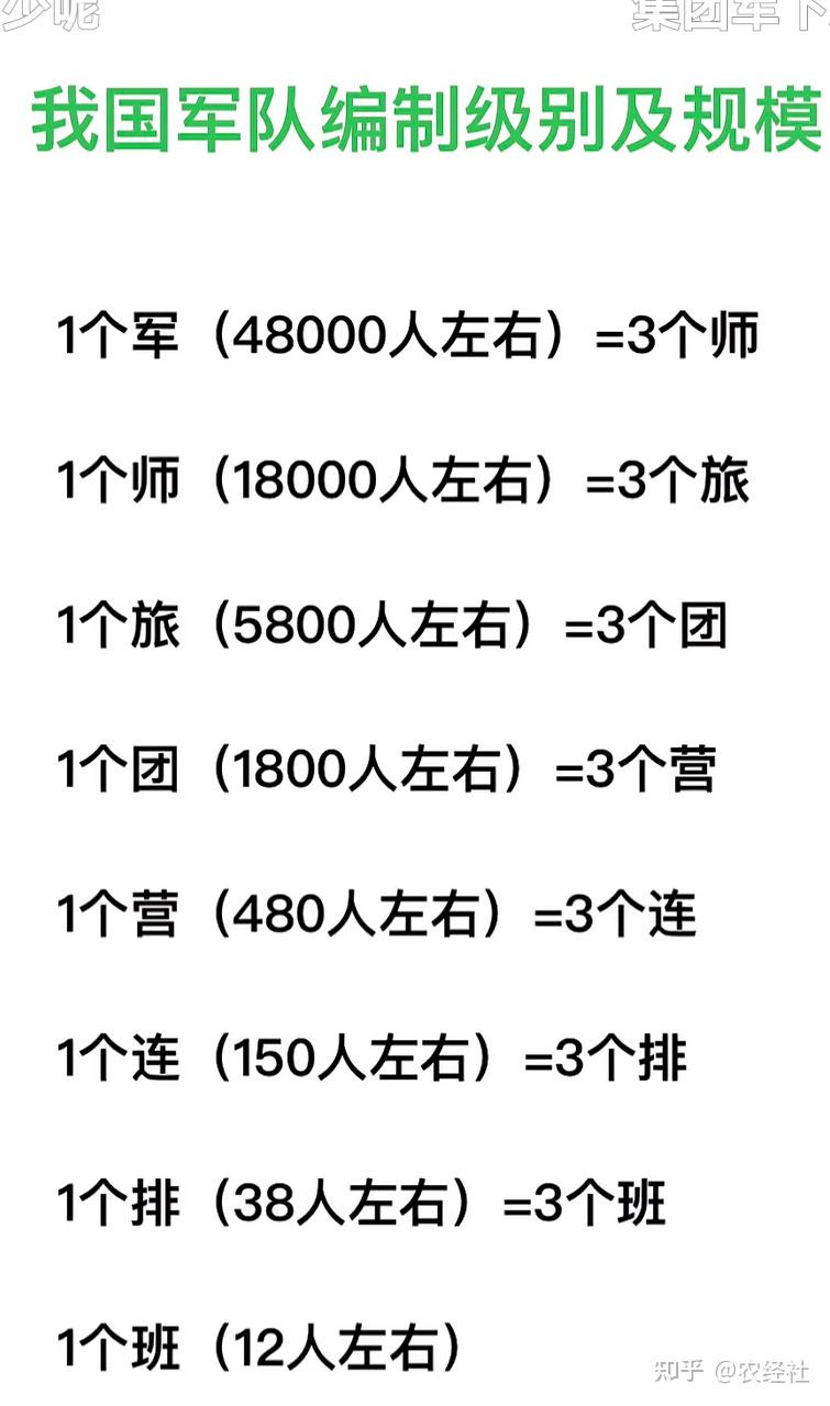 现代部队编制探析,现代部队编制深度解析
