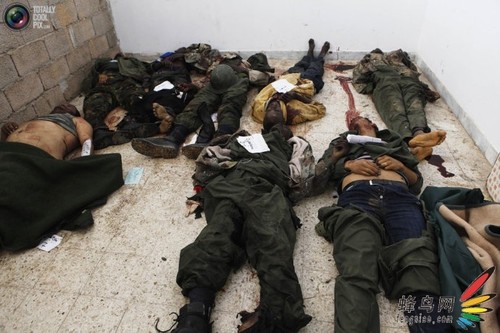 未来展望与挑战