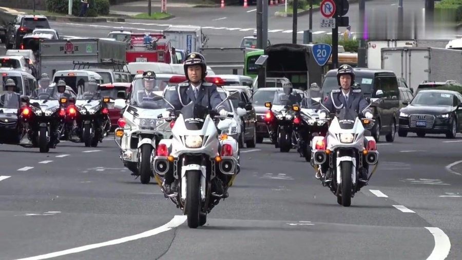 中国护卫车队的车辆种类及其特点,中国护卫车队车辆种类与特点概述