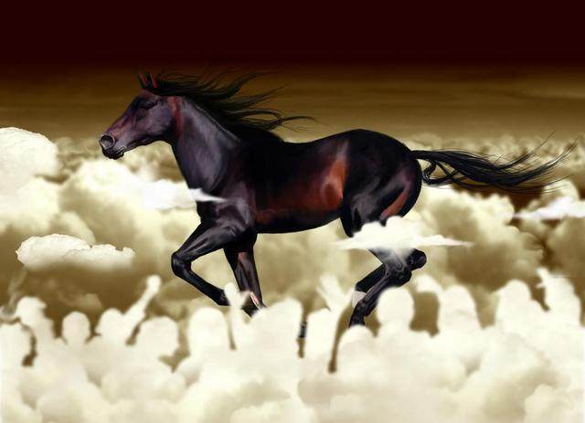 王中王四不象中一肖待马，探索神秘与机遇的交融，神秘与机遇的交融，王中王四不象探秘一肖待马