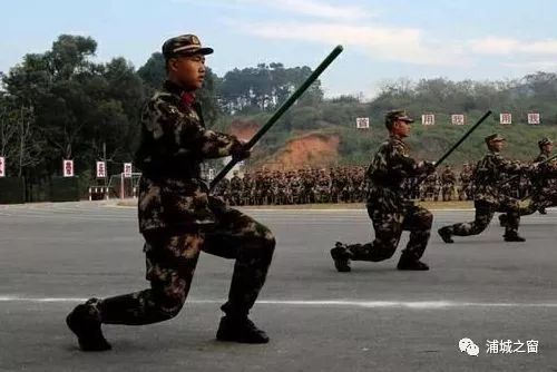 特警学校招生标准，选拔精英，培养精英，特警学校招生标准，选拔与培养精英力量