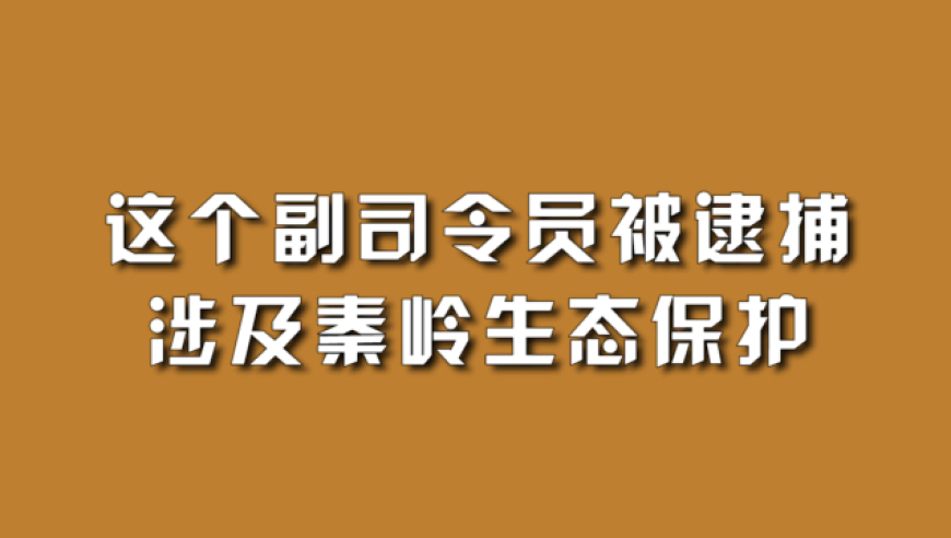 世界新闻周刊2024最新一期在线观看，全球视野下的新闻动态与深度洞察，全球视野下的新闻动态与深度洞察，世界新闻周刊2024最新一期在线观看