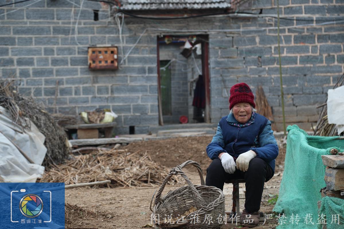 天涯论坛热议安徽灵璧渔沟中学事件,探究事件真相与启示,天涯论坛热议安徽灵璧渔沟中学事件,探究真相与启示