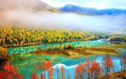 胶州市二零二一年今日重大新闻回顾,胶州市二零二一年今日重大新闻概览