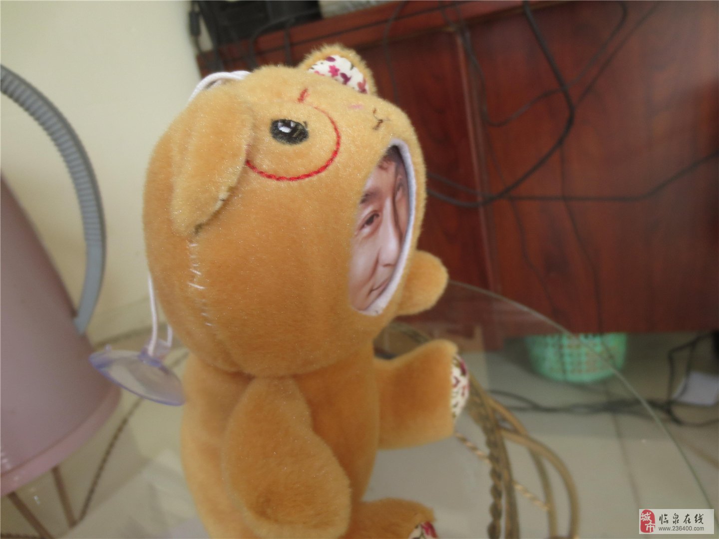 今天也没有变成玩偶，自由与自我掌控的探讨，自由与自我掌控，拒绝玩偶化的探索之路