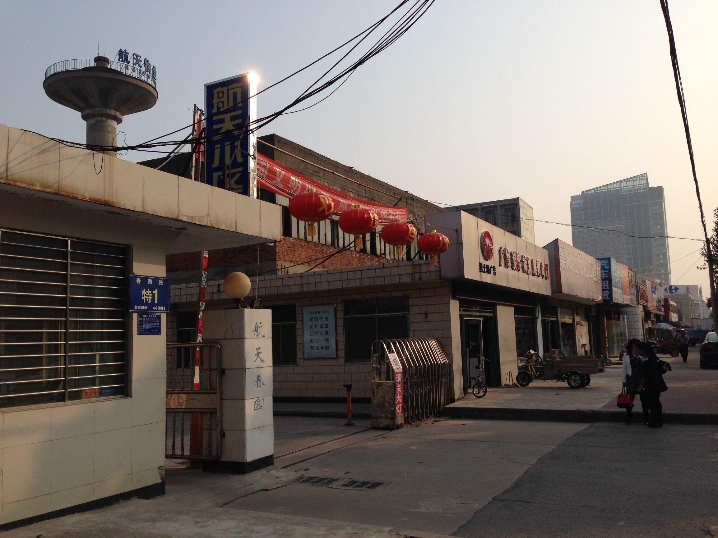 自主择业交流论坛，探索未来职业发展的无限可能，自主择业交流论坛，探索未来职业发展无限机遇与可能