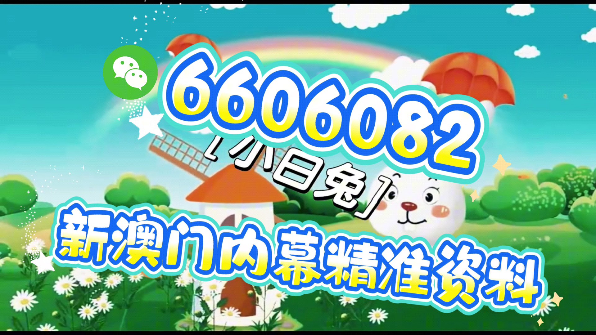 澳门内部四肖八码期期准免费资料,探索与解析,澳门四肖八码期期准资料解析与探索