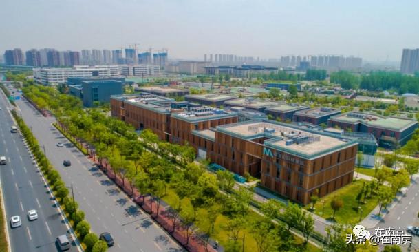 最新消息名医来了,引领医疗领域的新篇章,名医引领,开启医疗领域新篇章