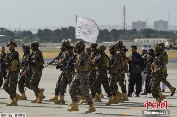 关于65444部队转型为特战旅的探讨，65444部队转型特战旅的深入分析与探讨