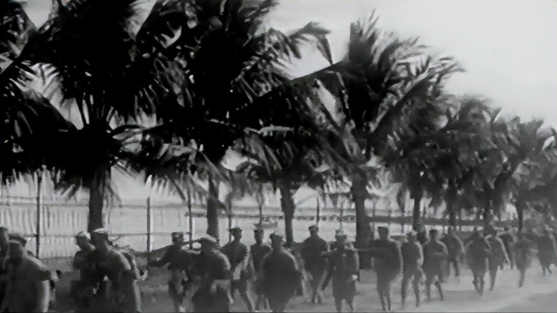 海南解放重要战役及其历史意义,海南解放重要战役的历史意义与影响