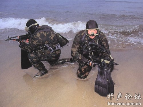 揭秘蛟龙突击队，战力非凡的精英力量，揭秘蛟龙突击队，战力非凡的精英力量解析