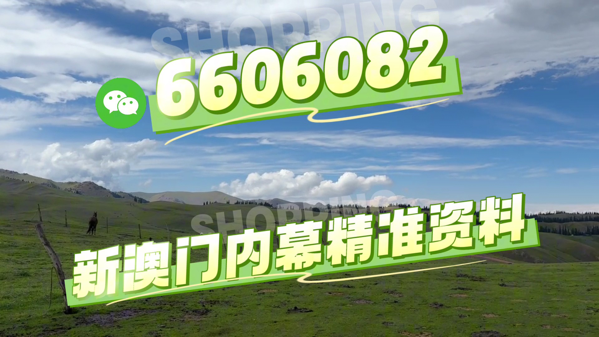 澳门必开一肖一码