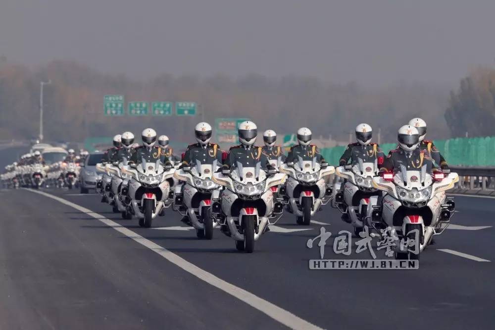 国宾护卫队婚车,荣耀与尊严的联姻,国宾护卫队婚车,荣耀联姻,尊严相伴