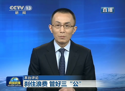 央视四套评论员全阵容深度解析，央视四套评论员全阵容深度剖析