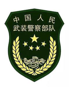 武警内卫服装图片,展现军威与荣耀的象征,武警内卫服装,展现军威与荣耀的典范图片