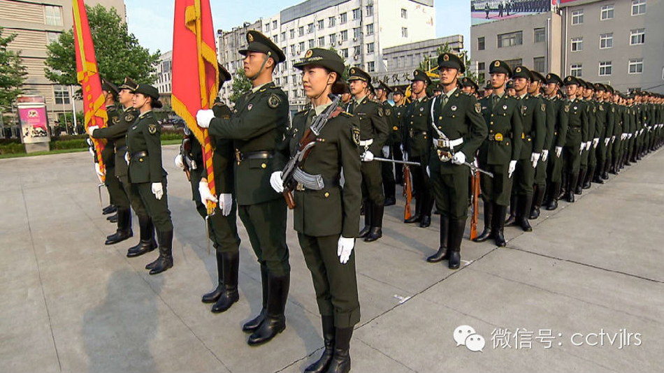 三军仪仗队分队长,荣耀与责任的承载者,三军仪仗队分队长,荣耀与责任的领航者