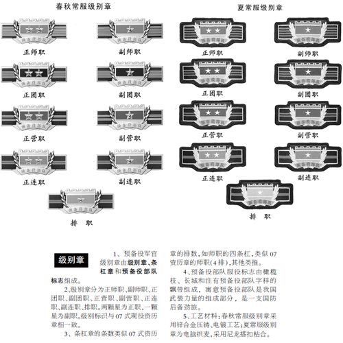 胸标军衔图解,揭示军队等级与荣誉的象征,胸标军衔图解,揭示军队等级与荣誉的标识
