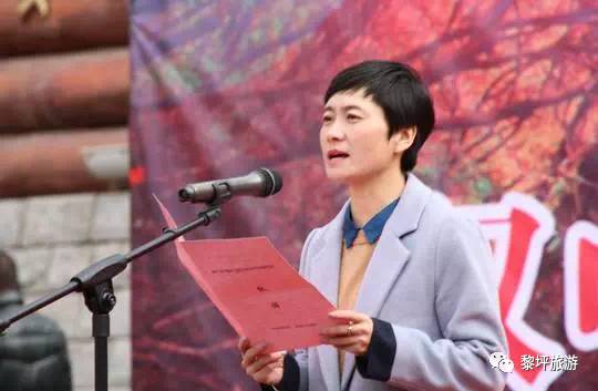 丁涛简介，一位卓越的人物生平与成就，丁涛生平与卓越成就概览