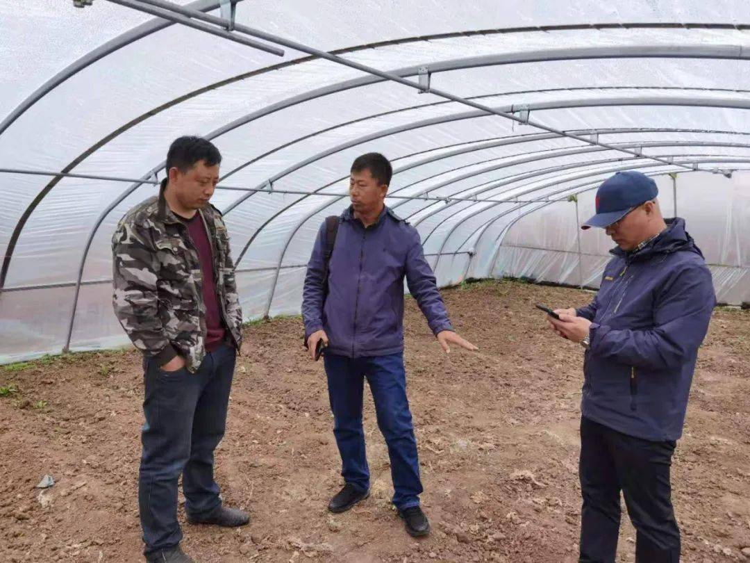 新澳门王中王,揭秘期期中的秘密,揭秘新澳门王中王期期中的奥秘