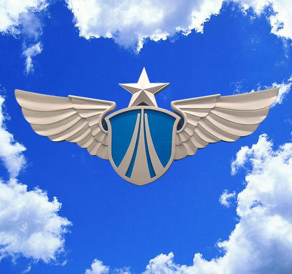 空军图标图片大全,探索天空的艺术与象征,空军图标图片集,探索天空的艺术象征与壮丽风采