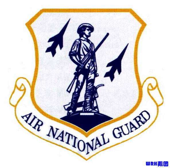 空军图标图片大全,探索天空的艺术与象征,空军图标图片集,探索天空的艺术象征与壮丽风采