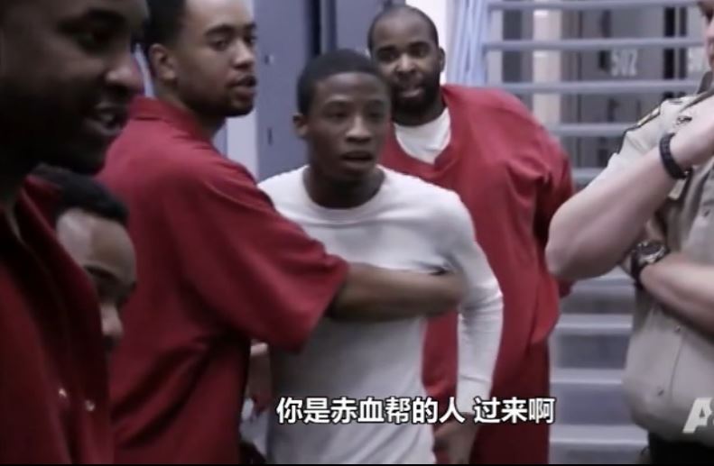 美版变形计,探索与反思,美版变形计,深度探索与反思之旅