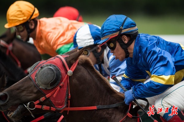 王中王兔费一肖,神秘与传奇的交融,王中王兔费一肖,神秘与传奇的交汇点