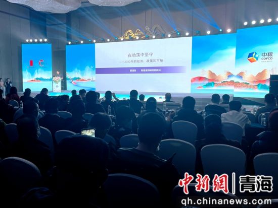 中国内参揭幕,深度解读与前瞻,中国内参深度解读与前瞻揭秘