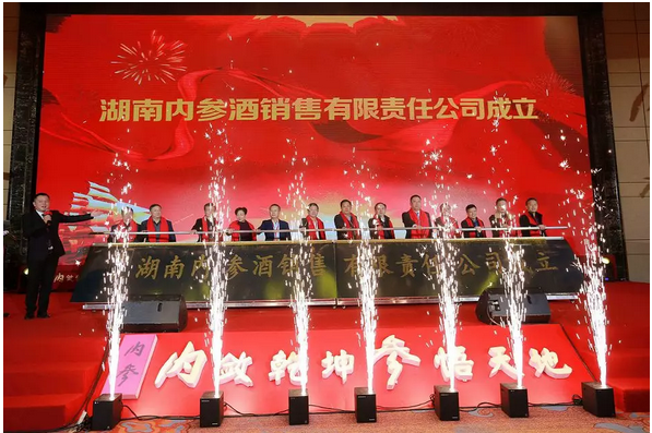 中国内参揭幕,深度解读与前瞻,中国内参深度解读与前瞻揭秘