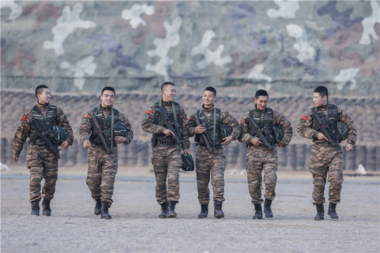 武警特战与机动部队,职责与能力的双重维度,武警特战与机动部队,职责与能力的双重探索