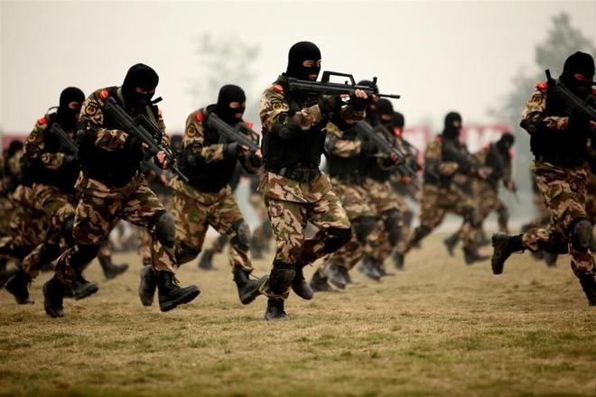 武警特战与机动部队,职责与能力的双重维度,武警特战与机动部队,职责与能力的双重探索