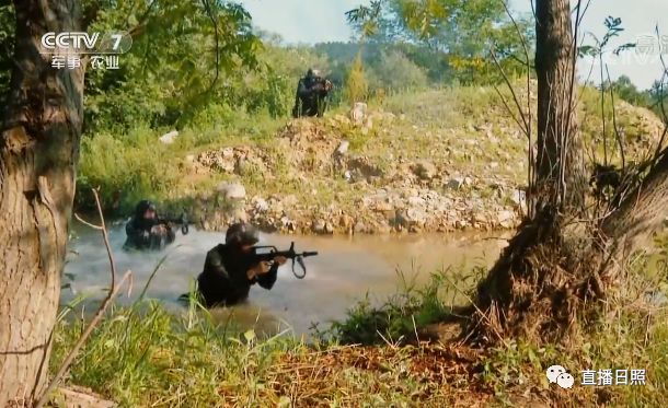 中央7军事频道下的狙击手,精英之魂与荣耀之担,中央7军事频道聚焦,狙击手——精英之魂与荣耀担当